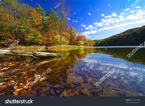 Autumn Brown County State Park Indiana Stock Photo 142187338 Shutterstock