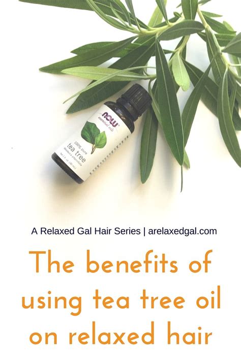 Tea tree oil is an essential oil that can be used to enhance home cleaning solutions, skin care applications, and hair treatments. Essential Natural Oils for Chemically-treated Hair: Tea ...