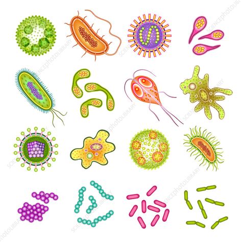 Microbe Icons Illustration Stock Image F0198352 Science Photo