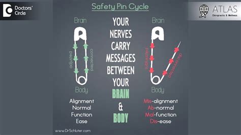 What Is The Safety Pin Cycle In Chiropractic Youtube