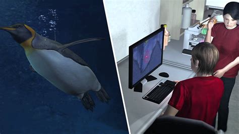 Researchers Lose Track Of Happy Feet Emperor Penguin Youtube