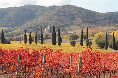 Tuscany In The Fall All You Need To Know For A Perfect Autumn Trip