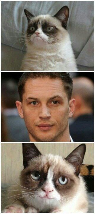 The Only Thing That Makes Me And Grumpy Cat Smile Tom Hardy Grumpy Cat