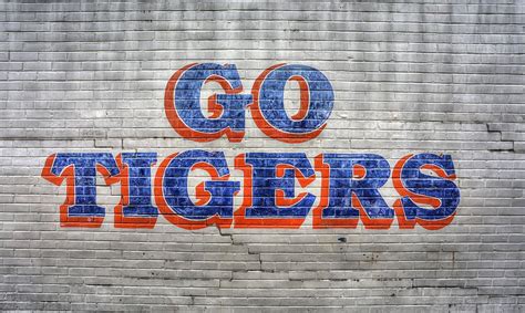 Go Tigers Photograph By Jc Findley Fine Art America