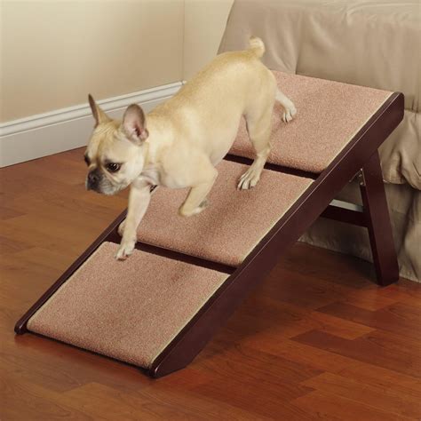 5 Best Dog Stairs & Steps For Dogs — Buying Guide & Reviews