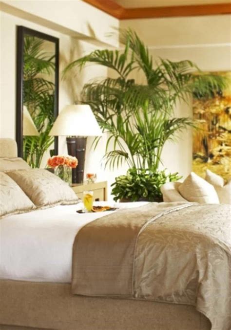 Bright Tropical Bedroom With Wall Mirror And Palm Tree Houseplant