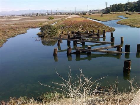Cross creek village | playa del rey. The Ballona Wetlands Restoration Project: An Abstract ...