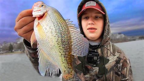 Crappie Fishing Spring Crappie Fishing Before The Spawn Youtube