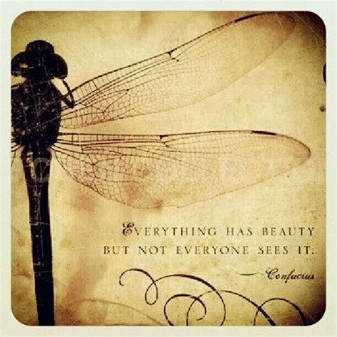 Dragonfly Sayings Fly Quotes Dragonfly Dreams Dragonfly