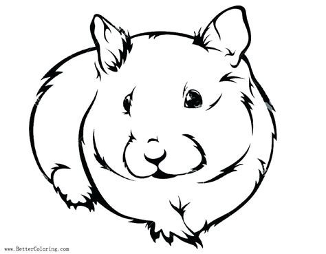 39+ free hamster coloring pages for printing and coloring. Hamster Cage Coloring Pages