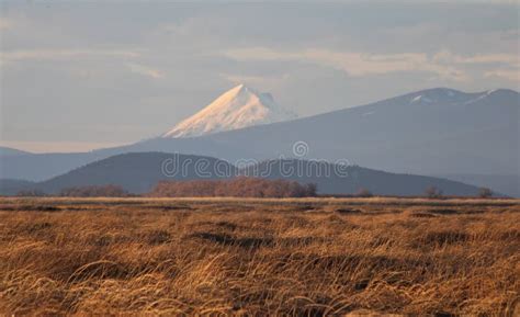 Snow Capped Mountain Meadow Morning Light Stock Photo Image Of Green