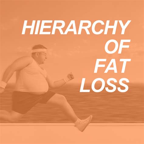 The Physiology Of Fat Loss Understanding The Hierarchy