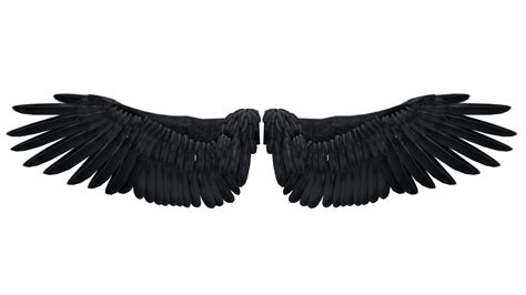 Download Hd Black Angel Wings Png Transparent Png Image