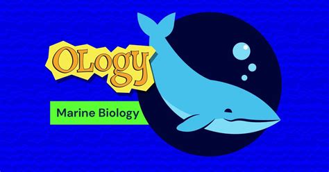 Marine Biology For Kids Ology Amnh