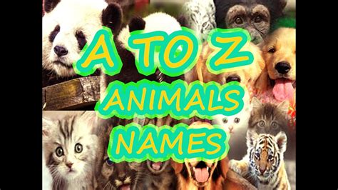 A to Z animals #ABCD #learning #animals #kids - YouTube