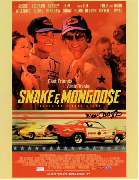 Snake And Mongoose 35th Anniversary Posters And Prints Hobbydb