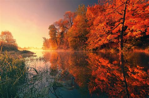 Trees Fall Reflection Autumn 4k Hd Nature 4k Wallpapers