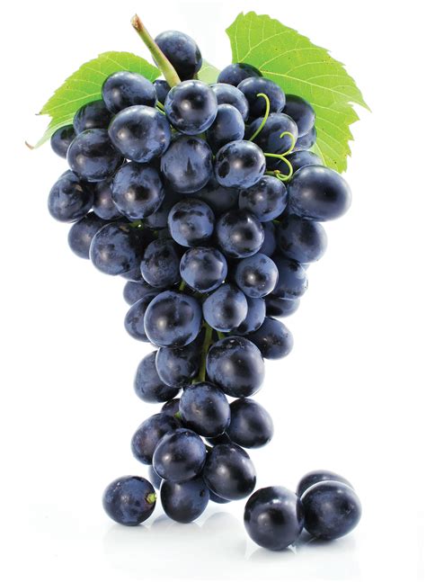 Grape Seed Extract Benefits Grow Widely Nutrition Industry Executive