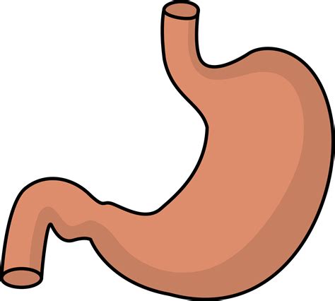 Free Full Stomach Cliparts Download Free Full Stomach Cliparts Png