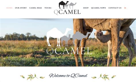 Camelicious was established in 1984, with the goal to introduce camel milk to the market and increasing its accessibility for daily consumers. October Food Champions Challenge :What milk do you buy ...