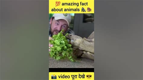 Mind Blowing Facts About Animals 🤯 Crazy Facts Animals 🐍🐸facts In