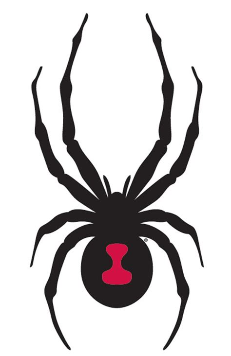 Spider Stencil Halloween Pinterest Spider Stencils And Black Widow