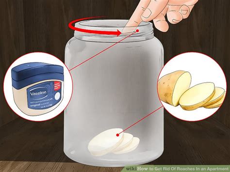 We did not find results for: 4 Ways to Get Rid Of Roaches In an Apartment - wikiHow