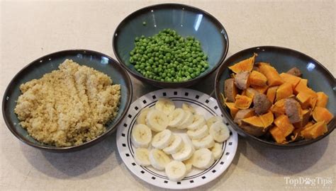 Homemade Vegetarian Dog Food Recipe Easy To Make Video