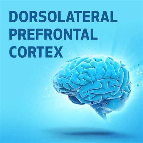 Dorsolateral Prefrontal Cortex Ceu Lhasa Oms