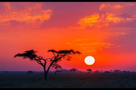 Travel To Tanzania Discover Tanzania With Easyvoyage Tanzania Sunset