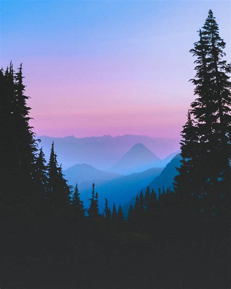 Landscape Pine Trees Sunset Forest Mountains Artwork Vertical Nature