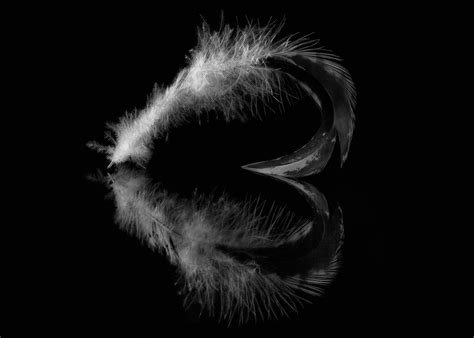 20 Creativas Fotografías en Blanco y Negro Para Llenarte ...