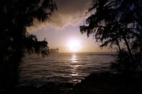 Sunset Over The Ocean Seen Through The Trees Stock Photo Image Of