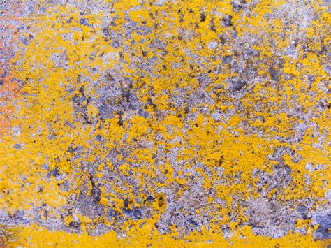 Awesome Grunge Yellow Concrete Textures For Free Artfans Design