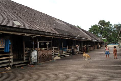 Rumah terpanjang ada di sarawak malaysia bangsa ini yang mendiaminya sangat unik. Hutan Adat itu Supermarketnya Orang Iban Sungai Utik ...