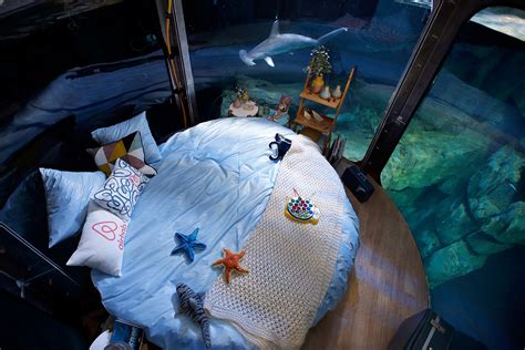 Maybe you would like to learn more about one of these? Airbnb Aquarium: Guests sleep in 360-degree underwater ...