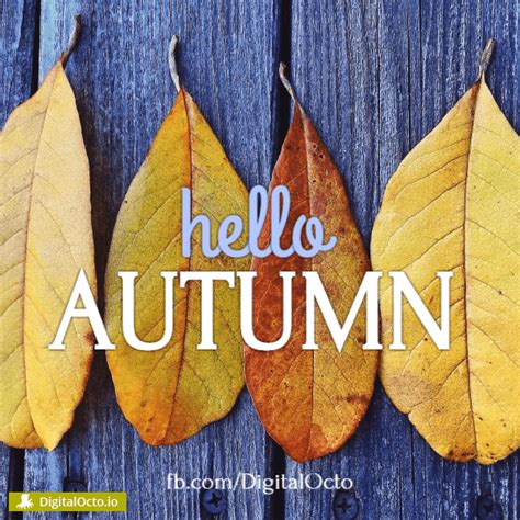 Hello Autumn Pre Made Graphics For Social Media Free Download