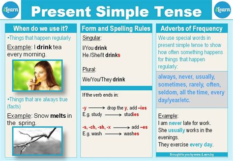 Present Simple Tense Ilearnbg Grammar Exercises Simple