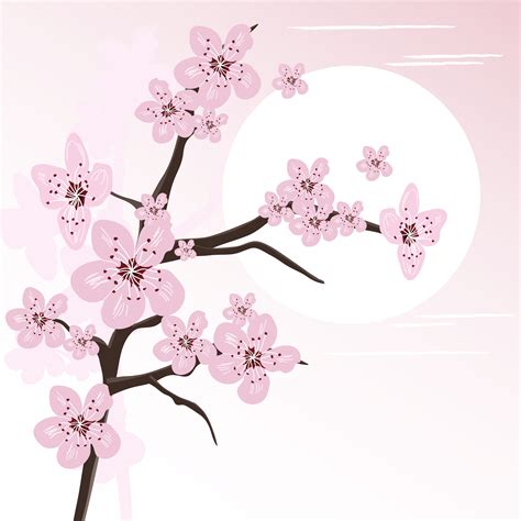 Cherry Blossom Vector Art 16919 Free Downloads