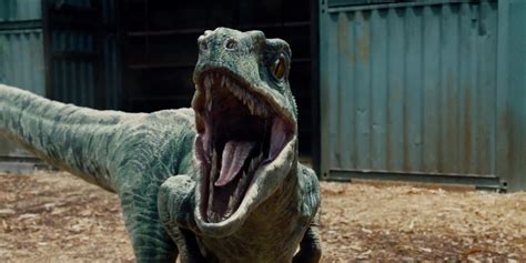 Colin Trevorrow Wird Jurassic Park 5 Nicht Inszenieren Filmfutter