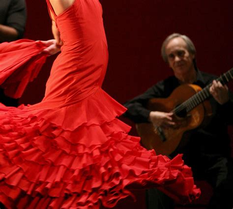 Flamenco Wallpapers Wallpaper Cave 89d