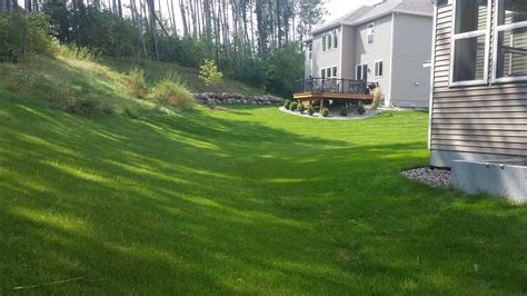 No Mow Forest Backyard In Inver Grove Heights Southview Design