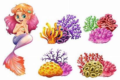 Coral Reef Mermaid Vector Colorful Illustration Background