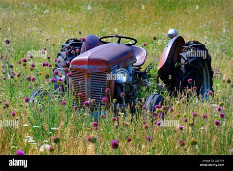 Old Red Tractor In Field With Flowers Abandoned As Antique Vintage Farm
