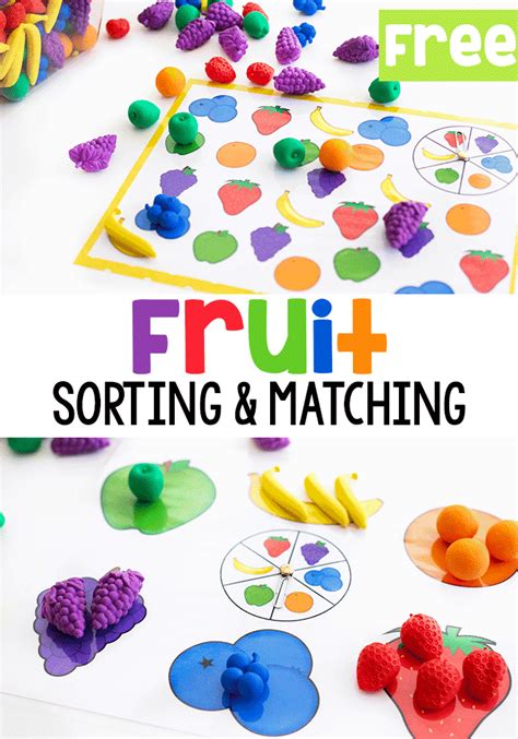 Fruit Matching And Sorting Games For Preschool