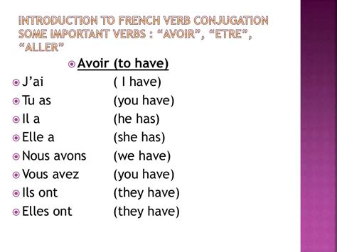 French Basics And Grammar Updated