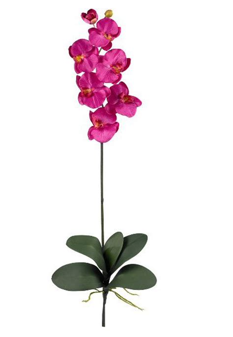 Nearly Natural Phalaenopsis Silk Orchid Flower Stems Beauty Set Of