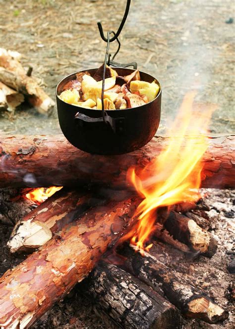 How Hot Is A Campfire Chefs Guide To Campfire Cooking Gudgear