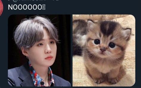 See more ideas about yoongi, bts fanart, bts drawings. yoongi cat in 2020 | Bts funny, Bts boys, Bts memes