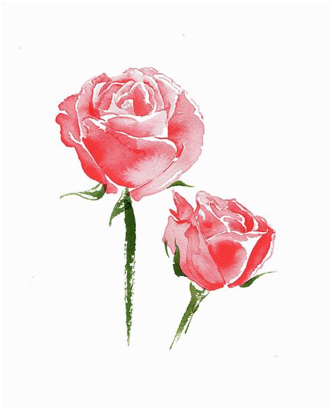 Watercolor Painting Of Two Pink Roses Painting By Ikon Images Fine